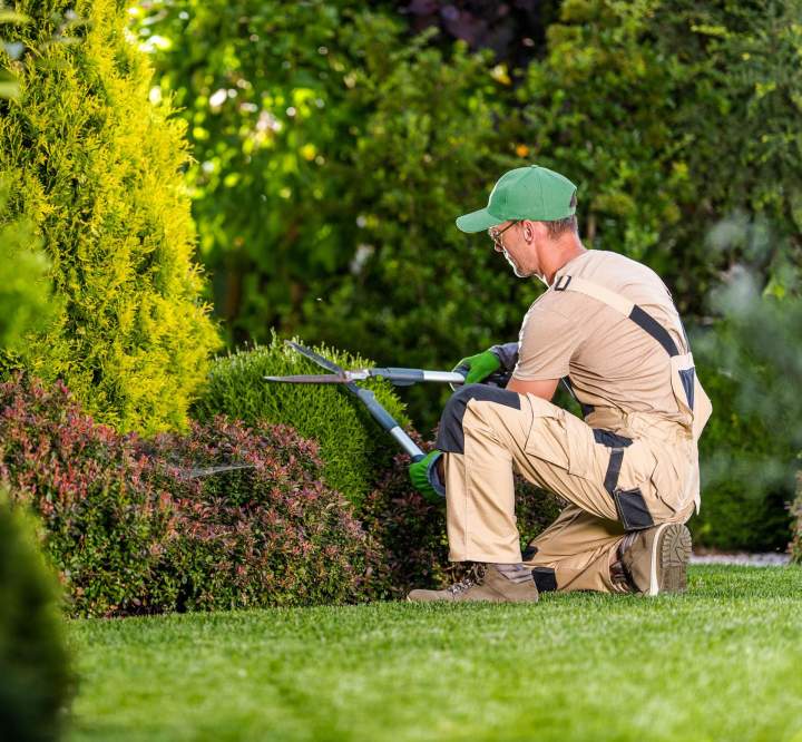 Un jardin impeccable toute l'année