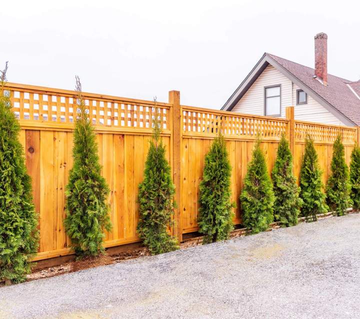 Délimitation et sécurité du jardin