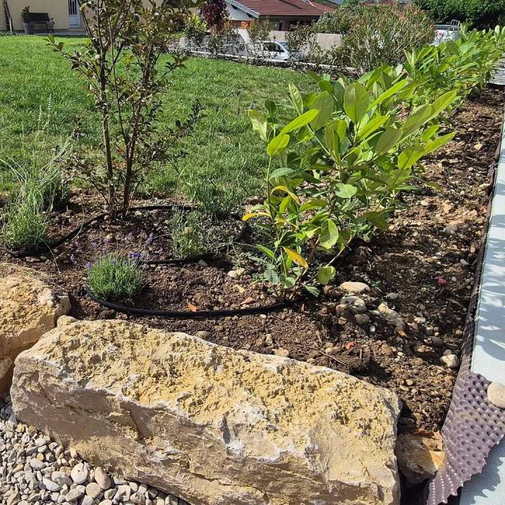 554647332 17854992099537985 76952389414351502 n