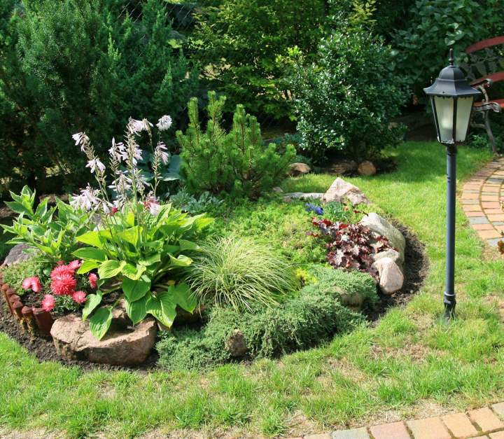 Végétalisation et mise en valeur du jardin