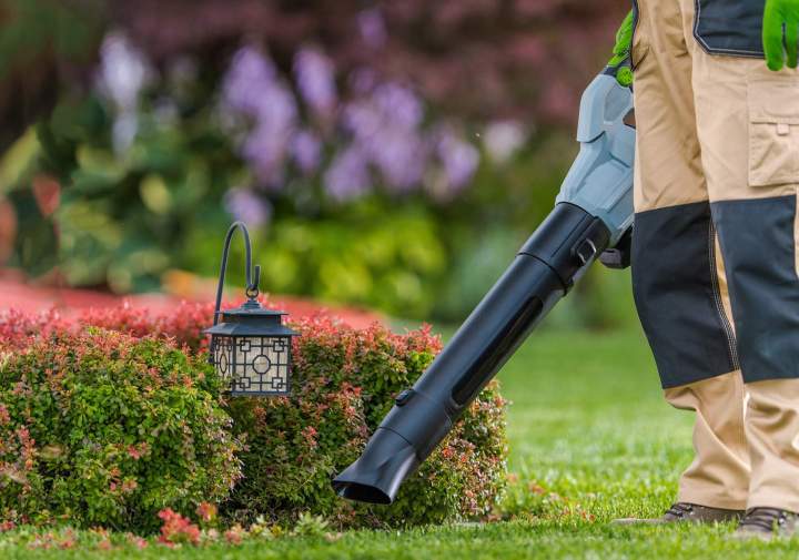 Entretien de jardin Saint Jean le Vieux