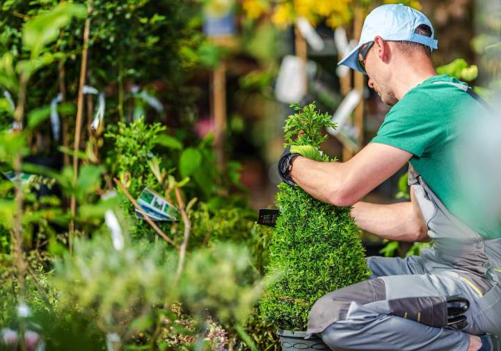 Entretien de jardin Saint Jean le Vieux