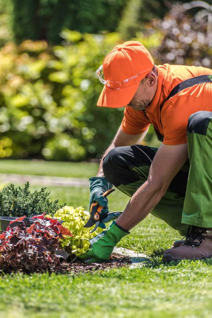 Expert en entretien de jardin Saint Jean le Vieux