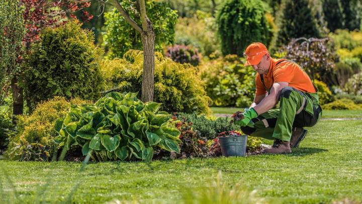 Aménagement extérieur Saint-Jean-le-Vieux