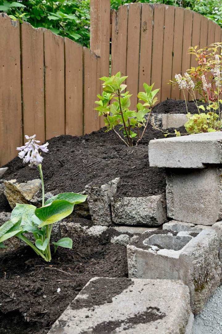 Service d'entretien de jardin Saint Jean le Vieux