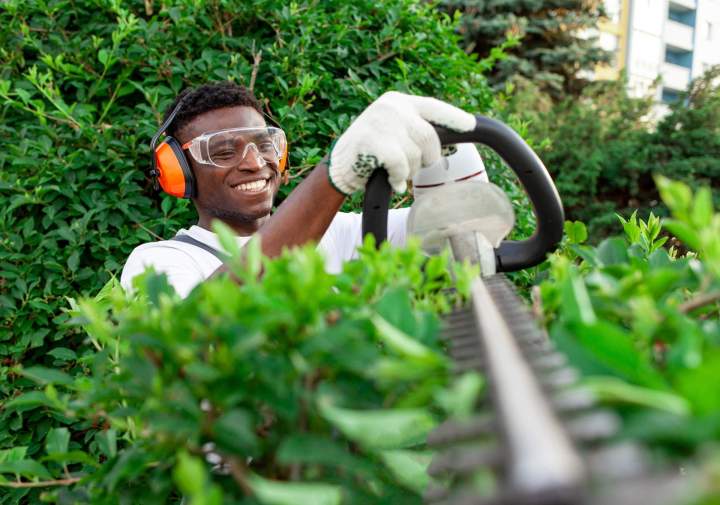 Service d'entretien de jardin Saint Jean le Vieux