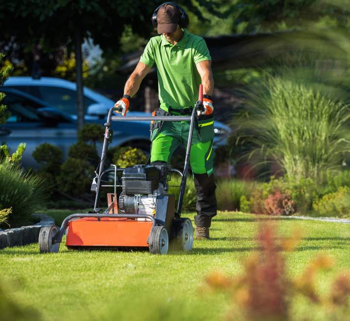 Tonte de pelouse Saint-Jean-le-Vieux