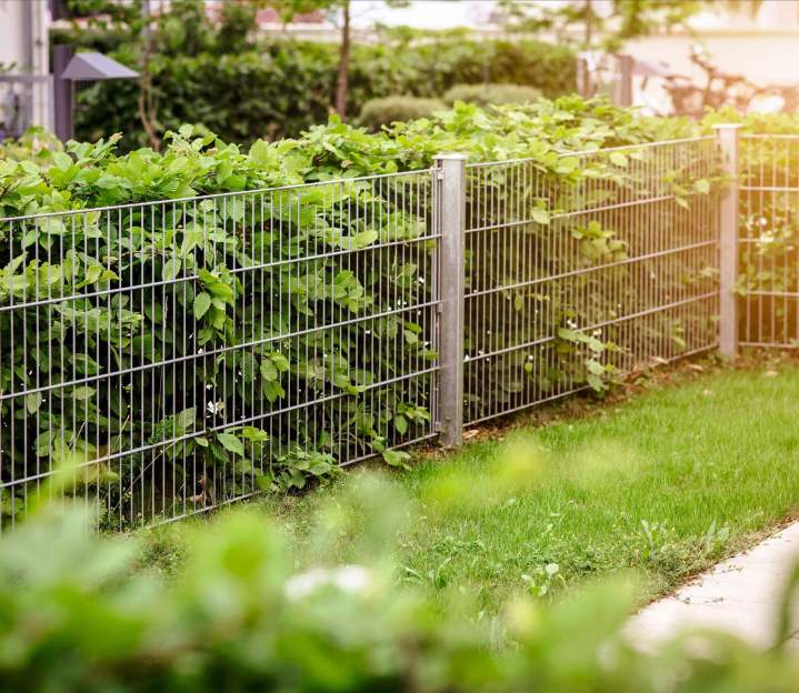 Clôture rigide et grillage Saint-Jean-le-Vieux