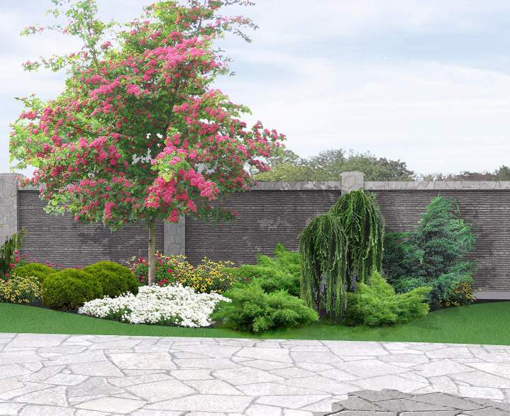 Plantation d’arbres et arbustes Saint-Jean-le-Vieux